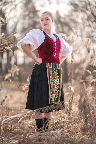 Slovakisk Folklore Slovakiska Folk Flicka — Stockfoto