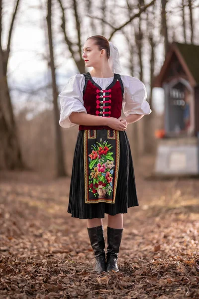 Slovak Folkloru Slovak Halk Kızı — Stok fotoğraf