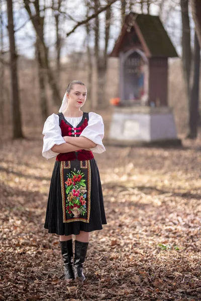 Szlovák Folklór Szlovák Népi Lány — Stock Fotó