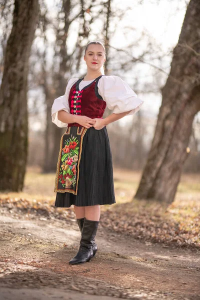 Slovenský Folklór Slovenská Lidová Dívka — Stock fotografie