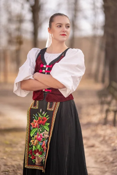 Szlovák Folklór Szlovák Népi Lány — Stock Fotó