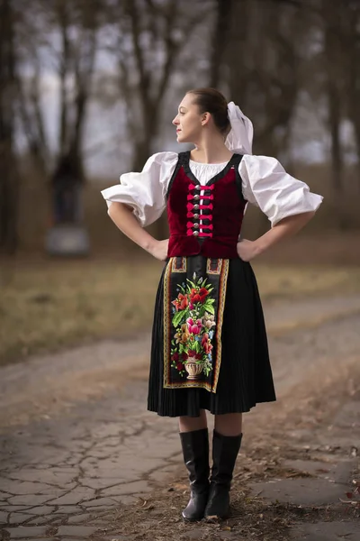 斯洛伐克民间传说 斯洛伐克民间女孩 — 图库照片