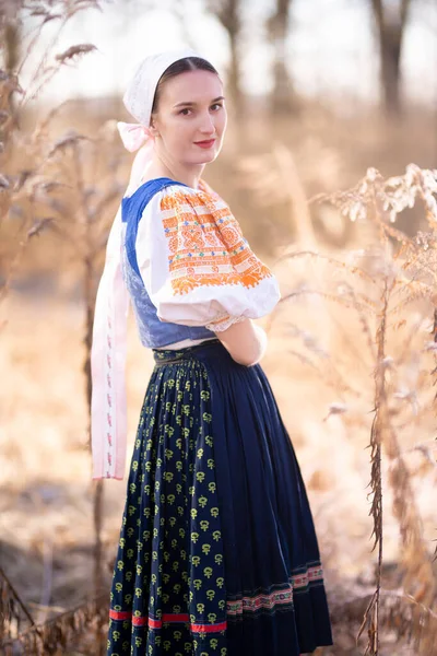 Menina Bonita Vestido Popular Eslovaco Tradicional — Fotografia de Stock