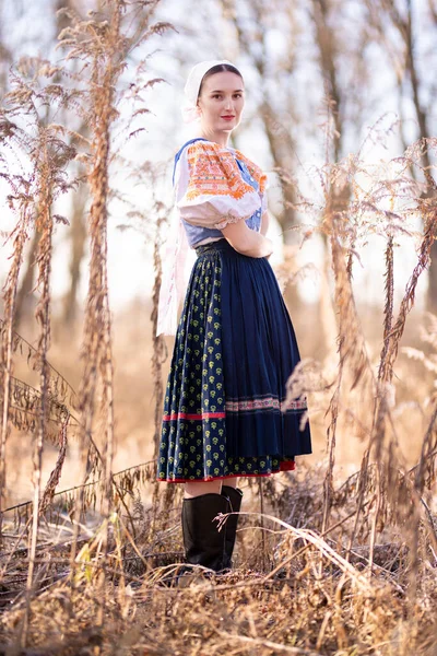 Mooi Meisje Traditionele Slowaakse Volksjurk — Stockfoto