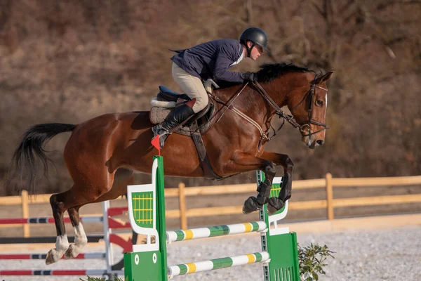馬術競技 馬のジャンプ ショーの跳躍 テーマにした写真の乗馬 — ストック写真