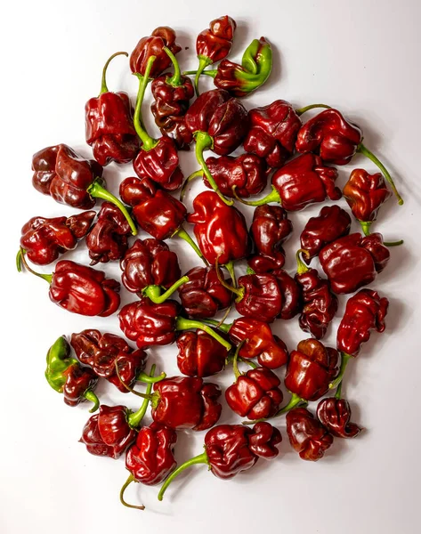 Hög Med Färsk Habanero Paprika — Stockfoto