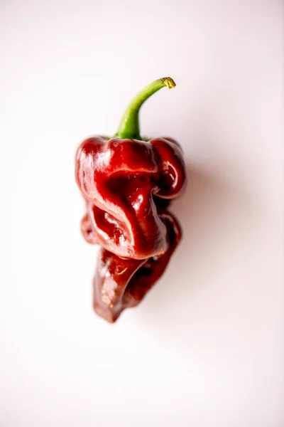 鲜红的哈巴内罗胡椒 — 图库照片