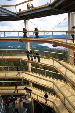 geçit treetop içinde