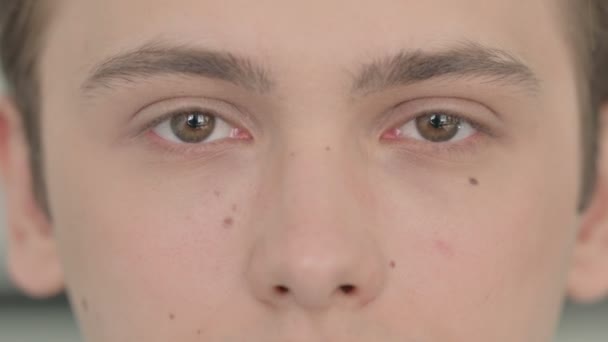 Gros plan des yeux clignotants du jeune homme — Video