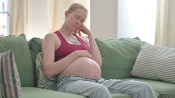 Pregnant Young Woman Sleeping While Sitting Sofa — Video