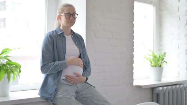 Pregnant Beautiful Woman Looking Camera While Stroking Her Tummy — Stock Video