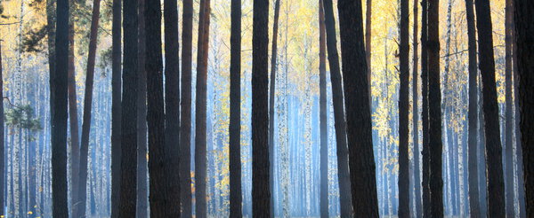 Autumn forest with fog