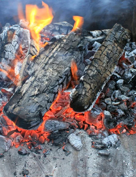 Camping fire — Stock Photo, Image