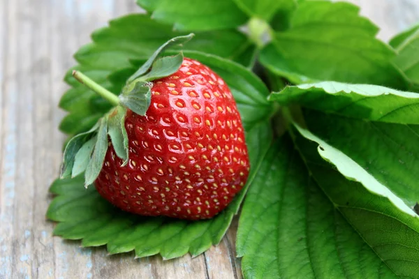 Fresh strawberry with green leaf on old wooden background — Stock Photo, Image