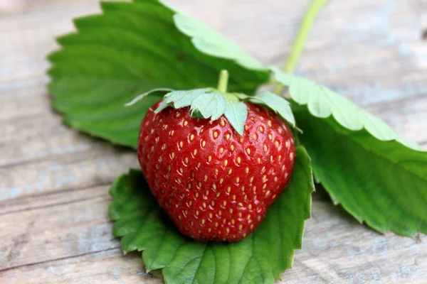 Fresh strawberry with green leaf on old wooden background — Stock Photo, Image