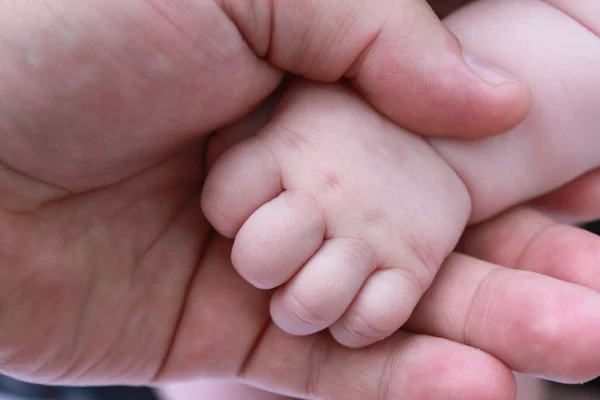 The hand of the child holds a hand of the adult — Stock Photo, Image