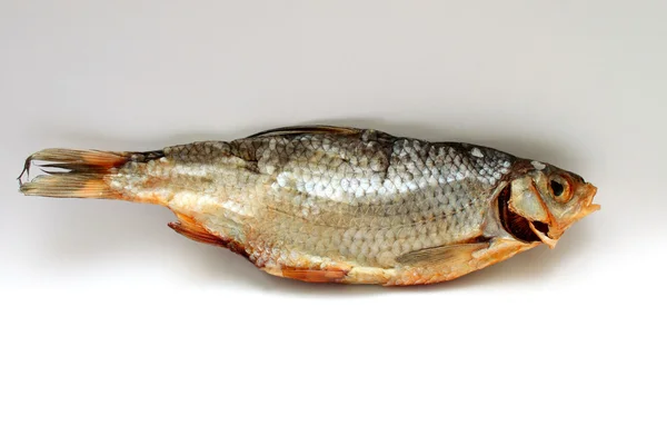 Peixe seco no fundo branco close-up — Fotografia de Stock