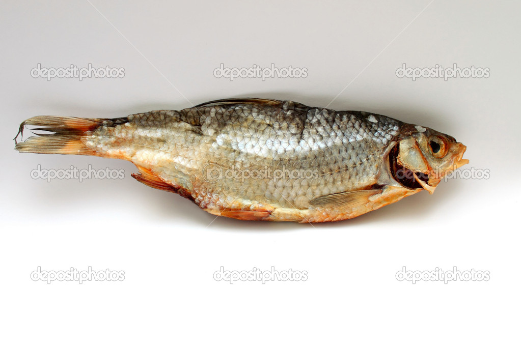 Таранька Рыба Фото