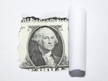 bir dolar üzerinden yırtık beyaz kağıt.