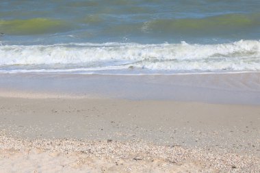 Güzel deniz dalgaları ve sahilde deniz suyu ve deniz köpüğü ile güzel bir deniz manzarası.