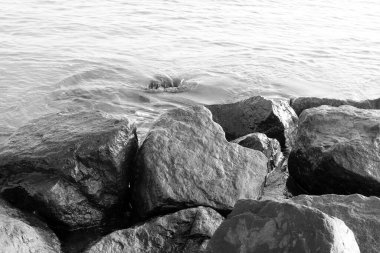 Siyah beyaz fotoğraf, siyah beyaz eski siyah beyaz fotograf tarzında siyah beyaz arkaplanda güzel ıslak taşlar.