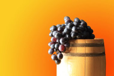 Meşe şarabı fıçısıyla, kırmızı şarapla ve kırmızı şarap yapmak için bir demet üzümle güzel bir hayat.