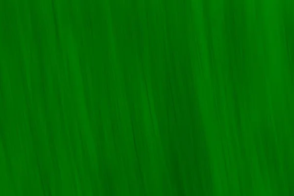 Grüner Hintergrund Mit Schönem Diffusen Ungewöhnlichen Muster — Stockfoto