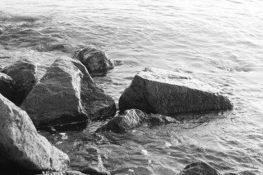Siyah beyaz fotoğraf, siyah beyaz eski siyah beyaz fotograf tarzında siyah beyaz arkaplanda güzel ıslak taşlar.