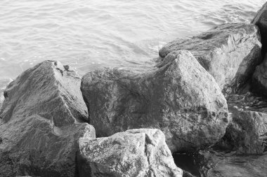 Siyah beyaz fotoğraf, siyah beyaz eski siyah beyaz fotograf tarzında siyah beyaz arkaplanda güzel ıslak taşlar.