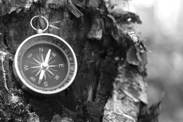 Photo Noir Blanc Boussole Ronde Comme Symbole Tourisme Avec Boussole — Photo