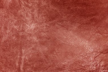 Kırmızı deri damarları olan kırmızı deri kaplamalı güzel kırmızı arkaplan doğal deriden kırmızı arkaplan örneği ya da doğal arka plan için deri arkaplan örneği