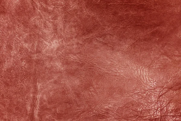 Beautiful red background with leather texture with red veins of red leather as sample of red background from natural leather or sample of backgroundtexture of leather for natural background
