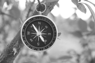 Pusula ile turizmin sembolü olarak doğal arka planda klasik navigasyon pusulası, pusula ile seyahat ve pusula ile açık hava aktiviteleri