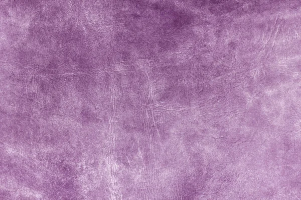 Beautiful purple background with leather texture with purple veins of purple leather as sample of purple background from natural leather or sample of texture of leather for natural background