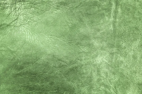 Vacker Grön Bakgrund Med Läder Konsistens Med Gröna Vener Grönt — Stockfoto