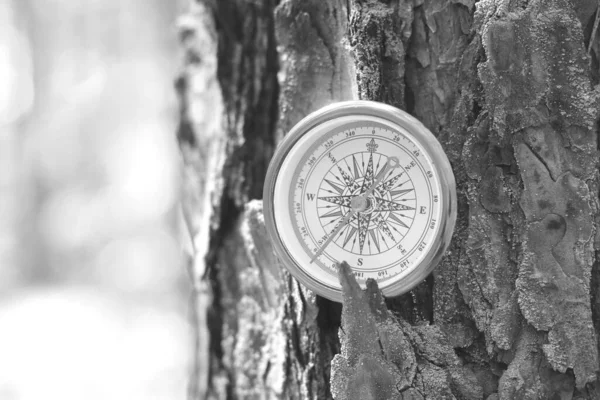 Photo Noir Blanc Boussole Ronde Comme Symbole Tourisme Avec Boussole — Photo