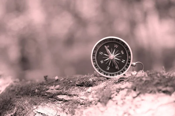 Compass Natural Background Symbol Tourism Compass Travel Compass Outdoor Activities — Stock Photo, Image