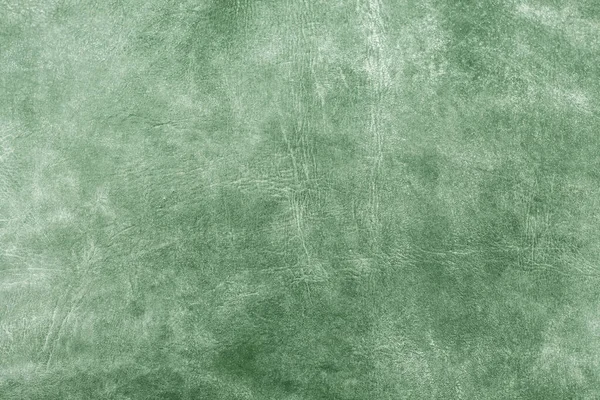 Hermoso Fondo Verde Con Textura Cuero Con Venas Verdes Cuero — Foto de Stock