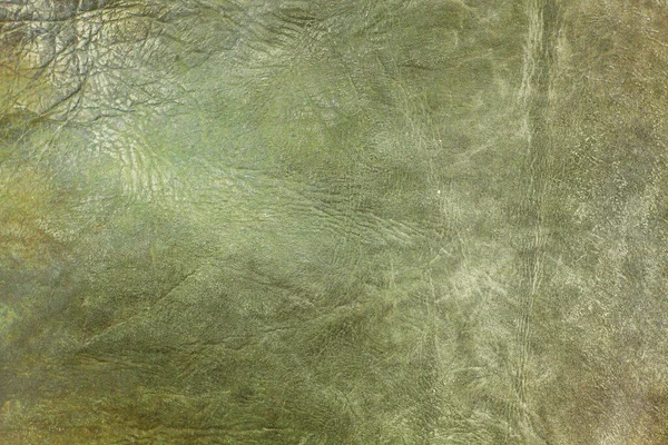 Beautiful Green Background Leather Texture Green Veins Green Leather Background — Foto de Stock