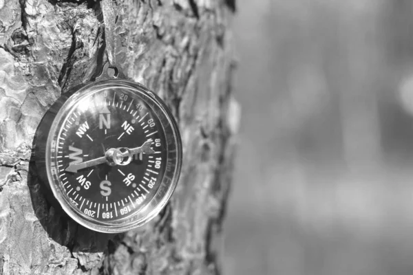 Compass Natural Background Symbol Tourism Compass Travel Compass Outdoor Activities — Stock Photo, Image