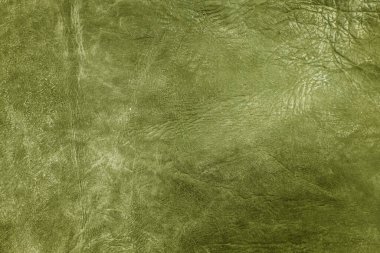 Beautiful green background with leather texture with green veins of green leather background as sample of green background from natural leather or texture of leather for beautiful background
