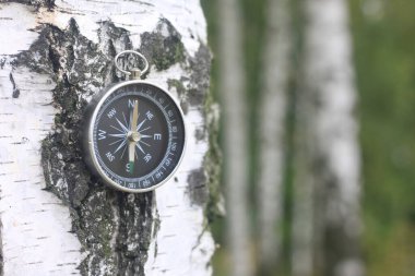 Pusula ile turizmin sembolü olarak doğal arka planda yuvarlak pusula ve pusula ile seyahat ve pusula ile açık hava aktiviteleri