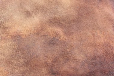 brown background with leather texture with brown veins of brown leather background as sample of brown background from natural leather or sample of texture of leather for beautiful natural background