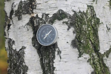 Pusula ile turizmin sembolü olarak doğal arka planda yuvarlak pusula ve pusula ile seyahat ve pusula ile açık hava aktiviteleri