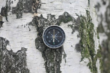 Pusula ile turizmin sembolü olarak doğal arka planda yuvarlak pusula ve pusula ile seyahat ve pusula ile açık hava aktiviteleri