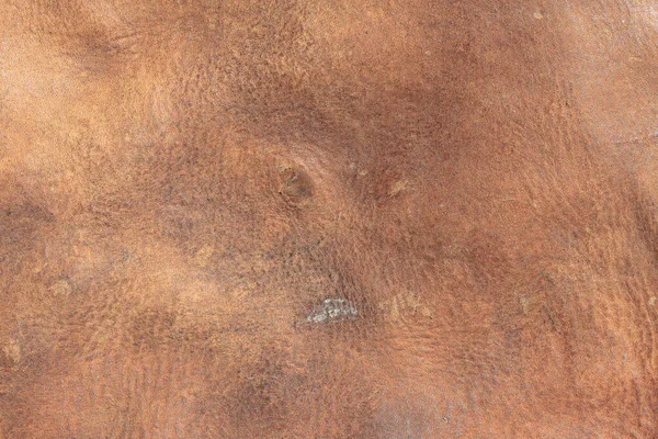 Brown Background Leather Texture Brown Veins Brown Leather Background Sample — Stock Fotó