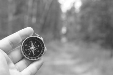 Pusula ile turizmin, pusula ile seyahat etmenin ve pusula ile açık hava aktivitelerinin sembolü olarak, doğal arka planda eski klasik navigasyon pusulası bulunmakta