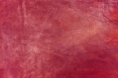 Beautiful red background with leather texture with red veins of red leather background as sample of red background from natural leather or sample of texture of leather for beautiful natural background