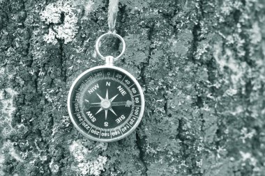 Pusula ile turizmin sembolü olarak doğal arka planda yuvarlak pusula ve pusula ile seyahat ve pusula ile açık hava aktiviteleri