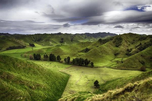 Nueva Zelanda — Foto de Stock